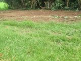 Kurunegala City Range Land for Sale