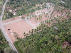 Kurunegala Dambadeniya Main Road Commercial Land For Sale