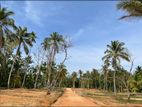 Kurunegala Dambokka Land for Sale