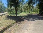 Kurunegala Dambulla Road Yaggapitiya Lands