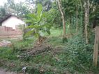 Kurunegala, Damibokka Land for Sale (SSPL-217)