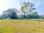 kurunegala - ibbagamuwa Land for Sale