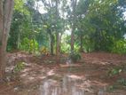 Kurunegala Land for sale