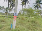 Kurunegala Land for Sale