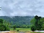 Kurunegala Land for Sale