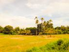 Kurunegala Land for Sale කුරුණෑගලින් ඉඩමක්