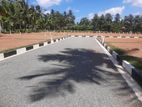 Kurunegala Main Road Facing Land Plots for Sale in Dambadeniya