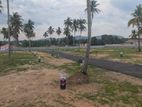 Kurunegala Malkaduwawa Land for Sale