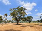 Kurunegala Malkaduwawa Land for Sale