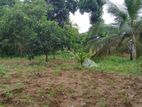 Kurunegala Polpithigama 2 Acres Land for Sale