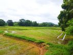 Kurunegala Pothuhera Land for Sale - HN 2200