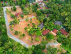 Kurunegala Pothuhera Land for Sale - HN1824