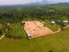 Kurunegala Ridigama Land Sale