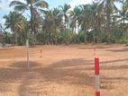 Kurunegala Road – Dambadeniya Land Plots for Sale