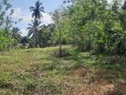 Kurunegala Siyambalangamuwa Land Sale