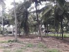 කුරුණෑගල - අනුරාධපුර බස් පාරින් පදිංචියට ඉඩමක්