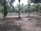 කුරුණෑගල අනුරාධපුර පාරට මුහුණලා ඉඩමක්