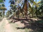 කුරුණෑගල අනුරාධපුර පාරට මුහුණලා ඉඩමක්