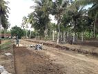 කුරුණෑගල අනූරාධපුර පාරට මුහුණලා ඉඩමක්