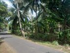 කුරුණෑගල අවටින් පර්-චස් 14ක වටිනා ඉඩමක්