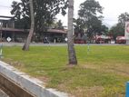 කුරුණෑගල දඹුලු පාරට මුහුණලා ඉඩමක්