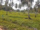 කුරුණෑගල දඹුලු පාරට මුහුණලා ඉඩමක්