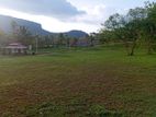 කුරුණෑගල ඉබගමුවෙන් ඉඩමක් - Lands in Ibbagamuwa , Kurunegala