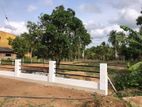 කුරුණෑගල ඉඩමක්