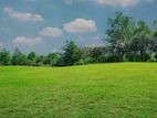 Land for Sale in Kurunegala