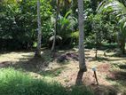 Land for Sale in Kurunegala