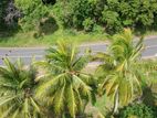 කුරුණෑගල – මොරගොල්ලාගම පර්චස් 90 ක පොල් ඉඩමක් / SA 11395