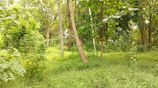 කුරුණෑගල නගරය ආසන්නයෙන් ඉඩමක්