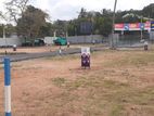 කුරුණෑගල නගරයෙන් සුඛෝපභෝගී ඉඩමක්