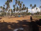 කුරුණෑගල නගරයට ආසන්නයේ පදිංචියට අගනා ඉඩමක්