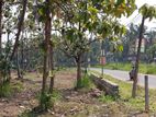 කුරුණෑගල නගරයට ආසන්නයේ පදිංචියට ඉඩමක්