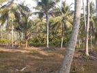 කුරුණෑගල නුවර පාරෙන් ඉඩමක්
