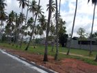 කුරුණෑගල පැල්ලන්දෙනිය ඉඩමක් විකිණීමට