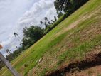 කුරුණෑගල පන්නලින් අඩුම මිලට ඉඩමක්