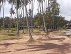 කුරුණෑගල පුත්තලම් බස් පාරෙන් ඉඩමක්