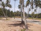 කුරුණෑගල පුත්තලම් පාරෙන් ඉඩමක්