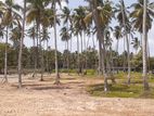 කුරුණෑගල පුත්තලම් පාරෙන් පදිංචියට ඉඩමක්