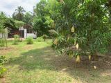කුරුණෑගල පුත්තලම් පාරට ආසන්නව වටිනා බිම් කොටසක් විකිණීමට.