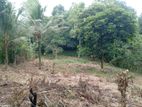 Kuruwita 40 P Prime Land for Sale