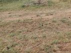 Land for Sale in Thoppur