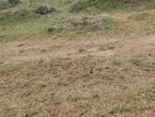 Land for Sale in Trincomalee