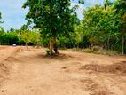 කුට්ටම් පොකුණට ආසන්නව සින්නක්කර බිම් කොටස්