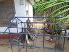 Dog Cage