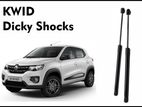 Kwid Dicky shocks