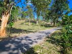 කයිකාවල සාරද මාවතට මුහුණලා Land
