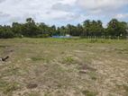 L4A004P27 - Land for Sale in Kalkudah